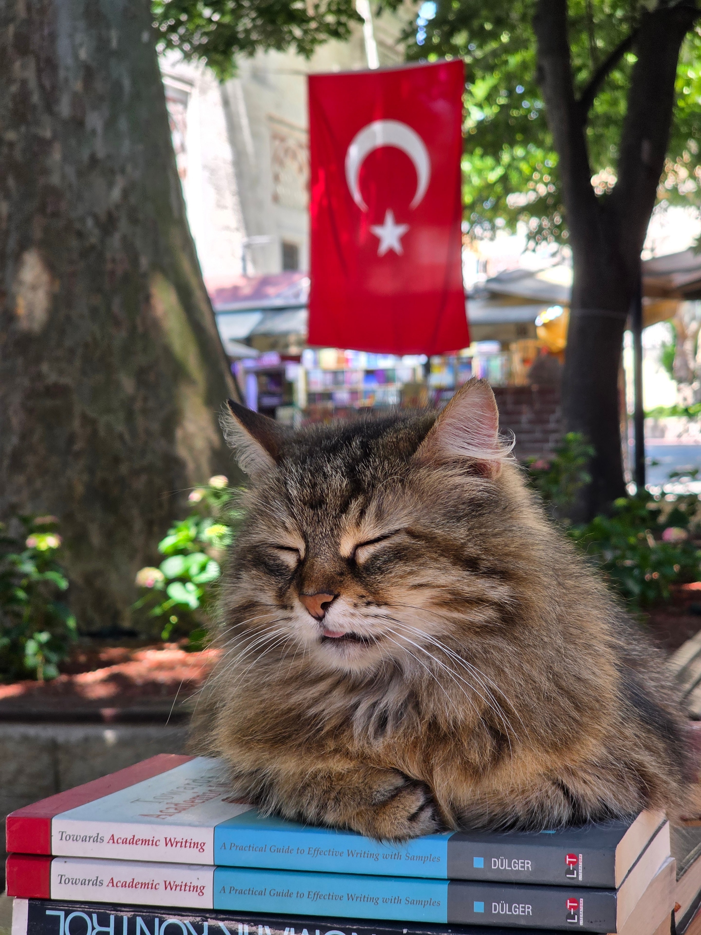 Istanbul travel moment photographed by Metin Koca